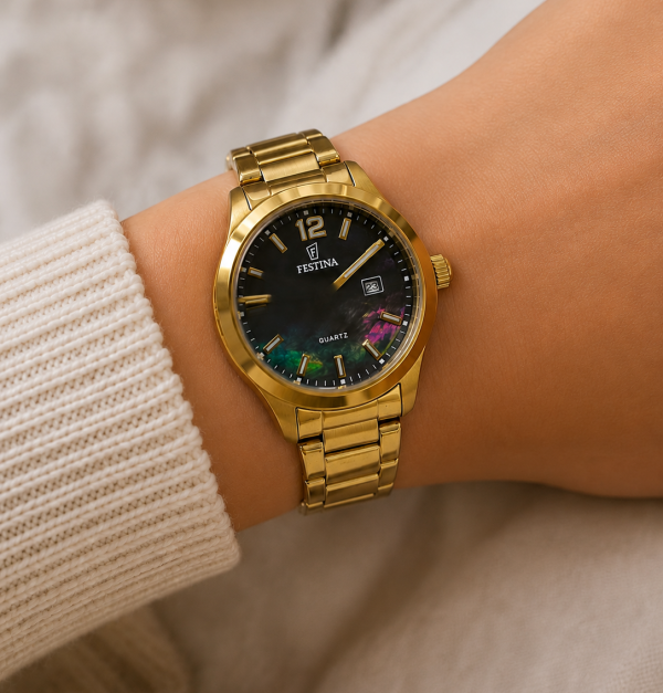 Festina F20741/2