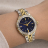 Festina F16868/3
