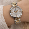 Festina F16937/D