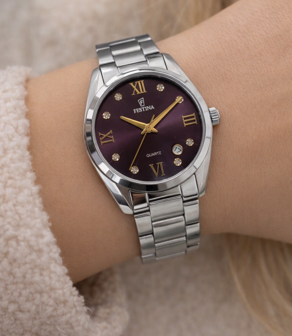 Festina F16790