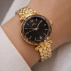 IBSO S8838L