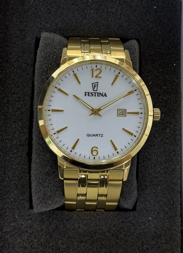 FESTINA-F20513/2