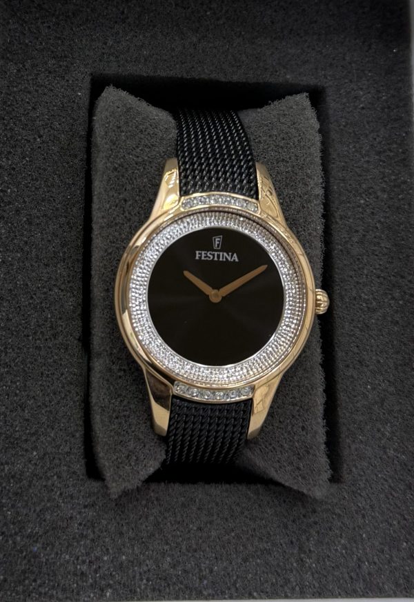 Festina F20496/2