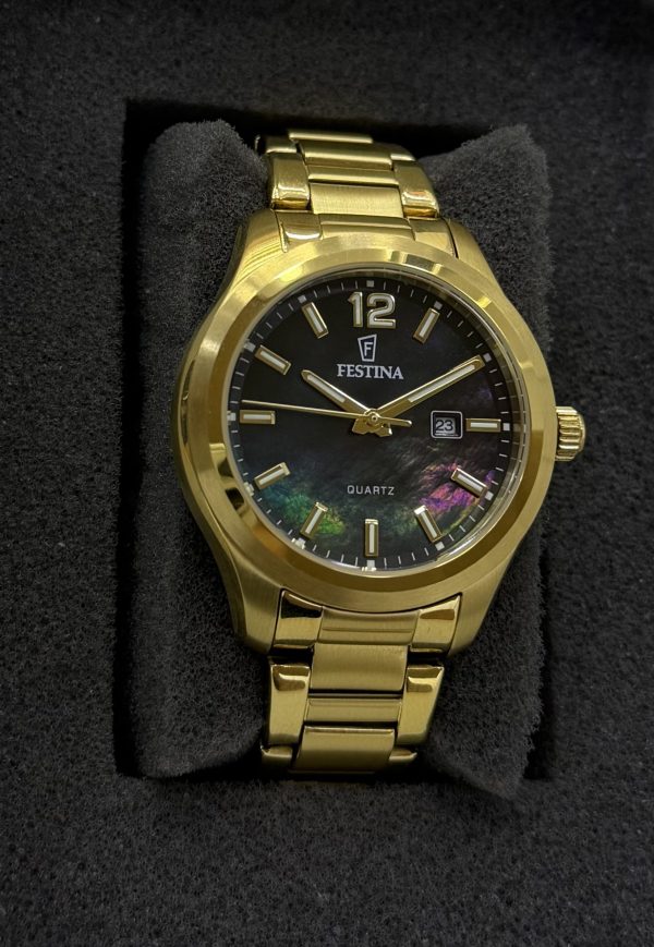 Festina F20741/2